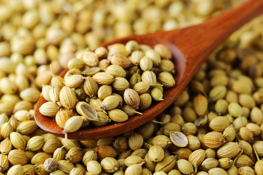 Premium Pistachios by OG Foods