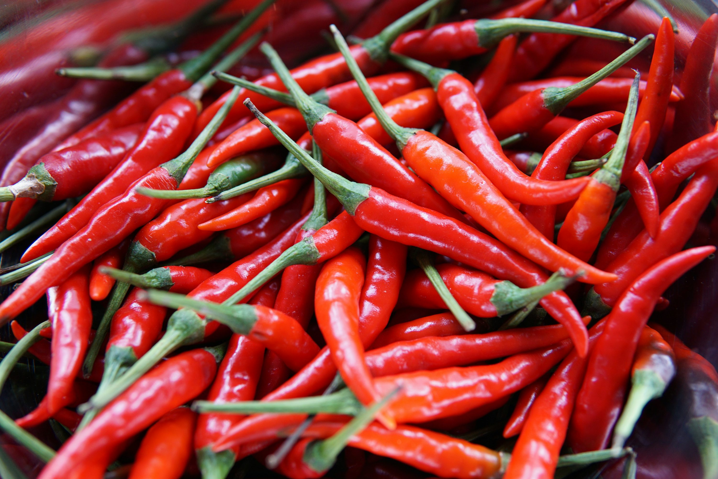 Premium Red Chili Powder by AMC Traders